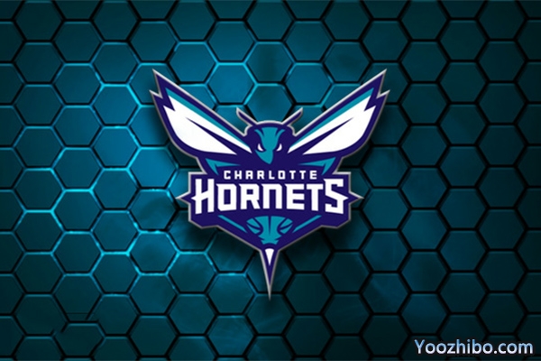2019-2020赛季<a href=/lanqiumianfei/hornets/ target=_blank class=infotextkey>黄蜂</a>队队徽